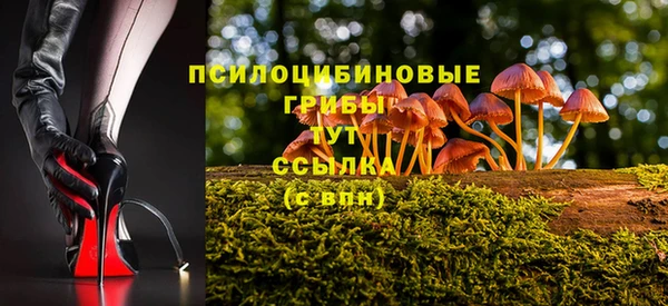 амфетамин Няндома