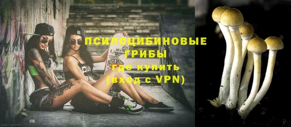 спиды Нязепетровск