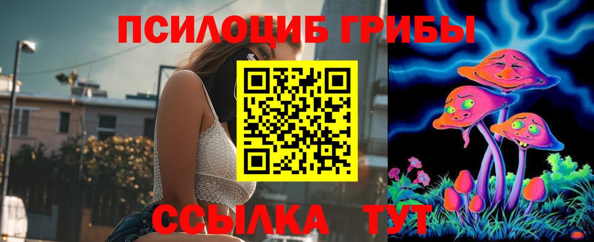 Балашов  Галлюциногенные грибы Psilocybe  Псилоцибиновые грибы MAGIC MUSHROOMS  Вход с VPN 